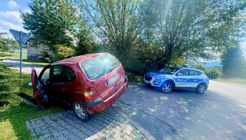 Nietrzeźwy kierowca bez uprawnień wjechał do rowu - zdjęcie 1