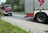 Samochód uderzył w drzewo, kierowca ukarany mandatem - zdjęcie główne