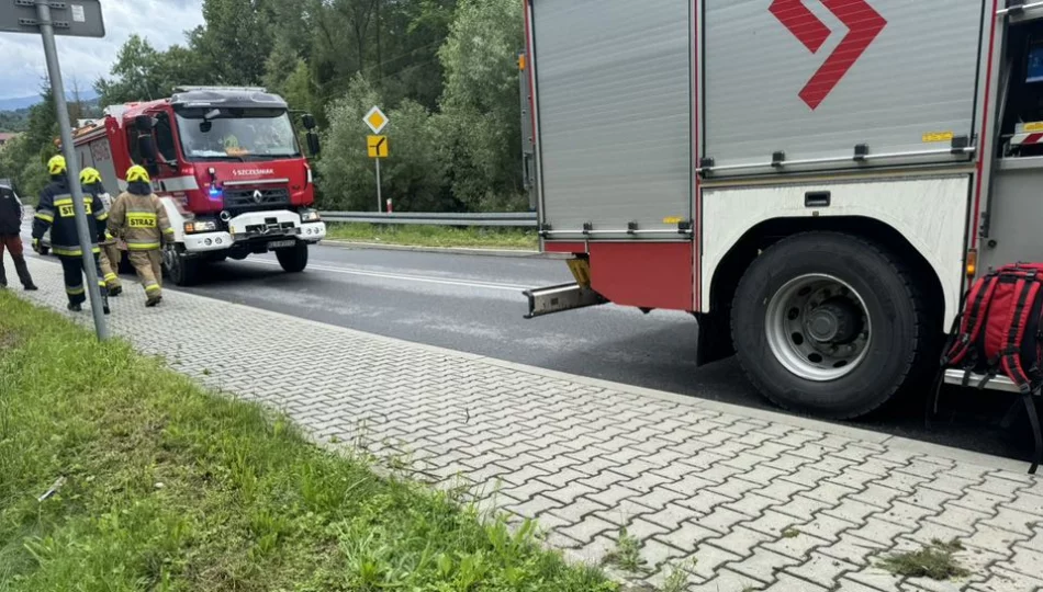Samochód uderzył w drzewo, kierowca ukarany mandatem - zdjęcie 1