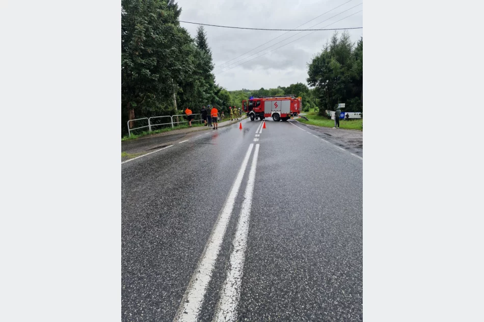 Samochód wpadł do rowu i dachował, kobieta trafiła do szpitala - zdjęcie 3