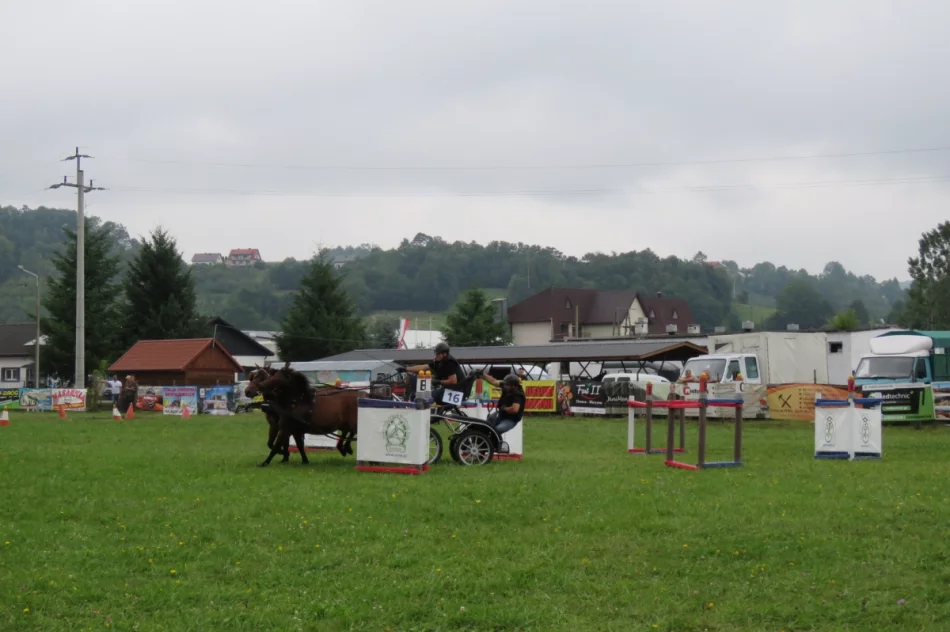 35 zaprzęgów w galicyjskim konkursie powożenia (ZDJĘCIA) - zdjęcie 5