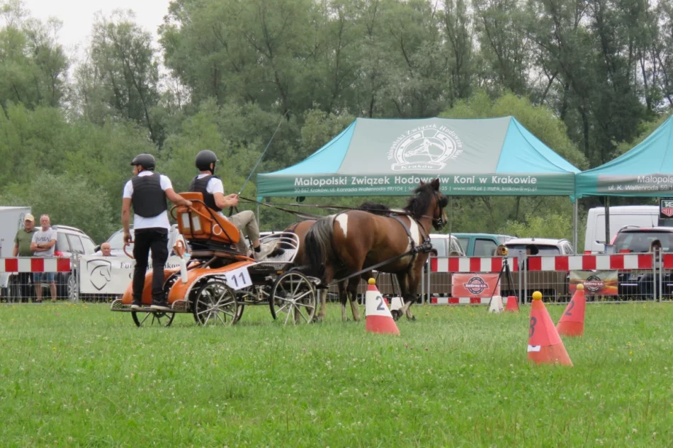 35 zaprzęgów w galicyjskim konkursie powożenia (ZDJĘCIA) - zdjęcie 13