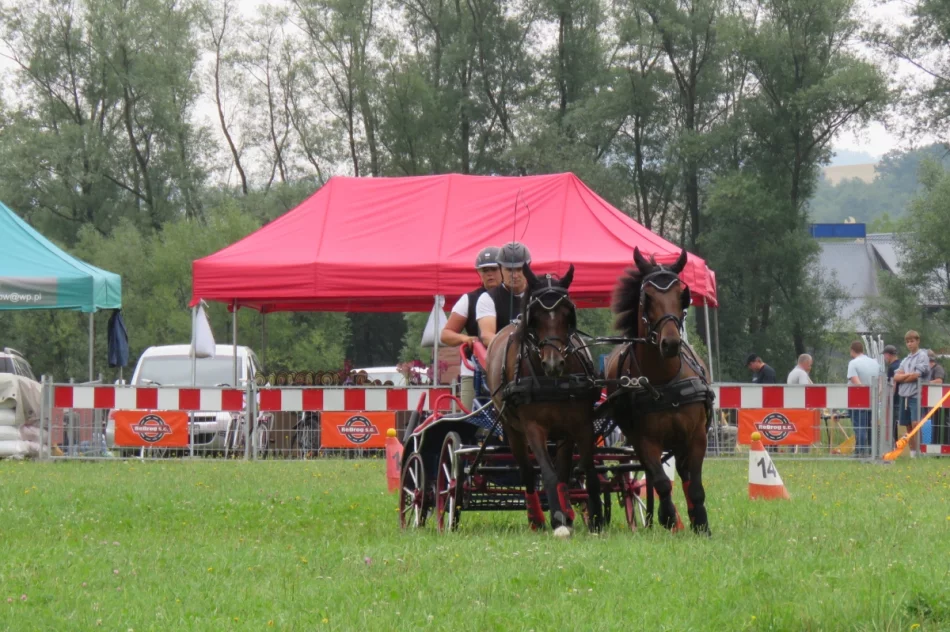 35 zaprzęgów w galicyjskim konkursie powożenia (ZDJĘCIA) - zdjęcie 14