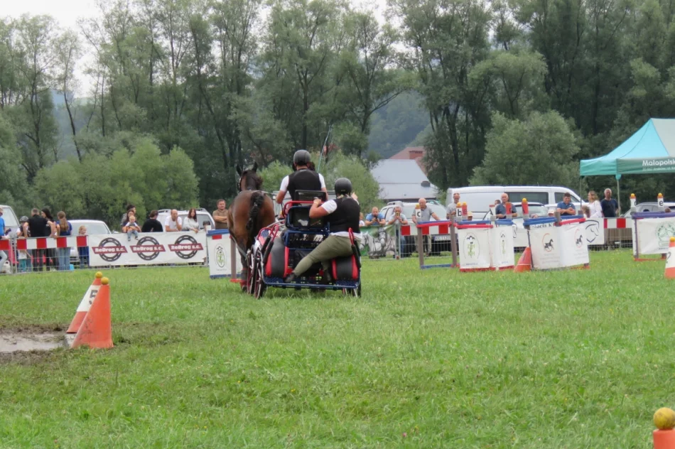 35 zaprzęgów w galicyjskim konkursie powożenia (ZDJĘCIA) - zdjęcie 18