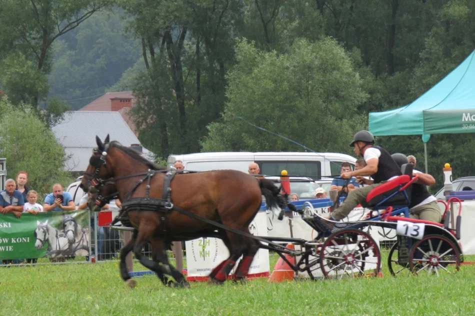 35 zaprzęgów w galicyjskim konkursie powożenia (ZDJĘCIA) - zdjęcie 19