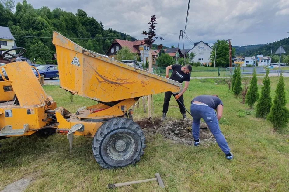 Mieszkańcy wzięli się za poprawę estetyki - zdjęcie 4