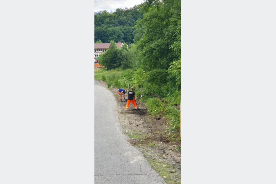 Mieszkańcy wzięli się za poprawę estetyki - zdjęcie 7