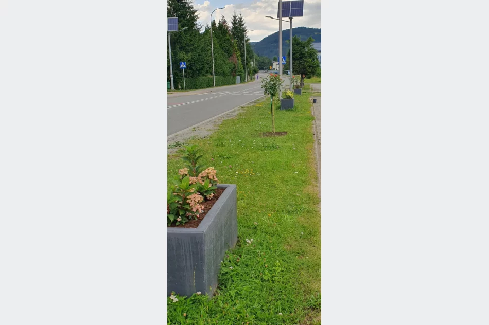 Mieszkańcy wzięli się za poprawę estetyki - zdjęcie 9