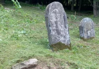 “Dopiero teraz widać skalę zniszczenia nekropolii” - zdjęcie główne