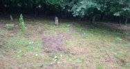 “Dopiero teraz widać skalę zniszczenia nekropolii” - zdjęcie 3