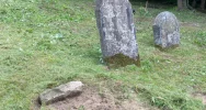 “Dopiero teraz widać skalę zniszczenia nekropolii” - zdjęcie 5