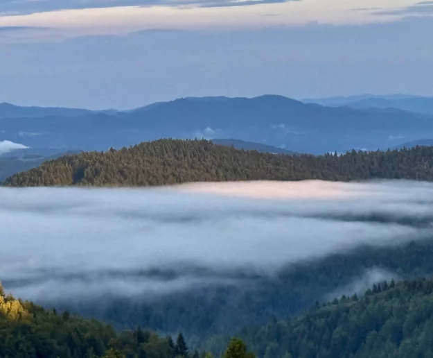 Ostrzeżenie meteorologiczne: burze - zdjęcie główne