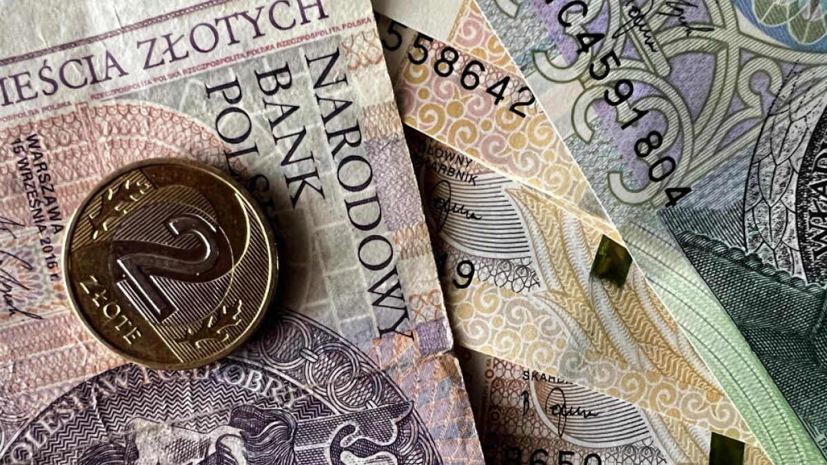 NBP: spodziewany spadek bezrobocia w przyszłym roku; płace będą rosły wolniej