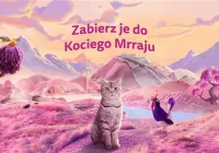 9 na 10 opiekunów kotów w Polsce uważa, że ich kot ma unikalną osobowość - sprawdź, co czyni pupila szczęśliwym - zdjęcie główne