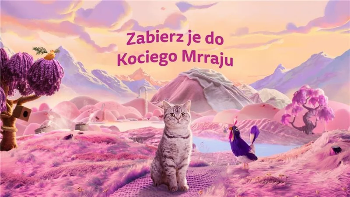 9 na 10 opiekunów kotów w Polsce uważa, że ich kot ma unikalną osobowość - sprawdź, co czyni pupila szczęśliwym