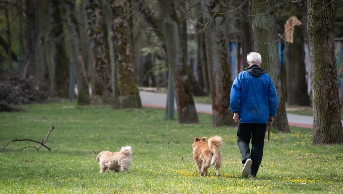 Szybszy chód to dłuższe życie