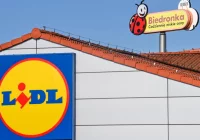 ​Raport: hipermarkety cenione za ceny i promocje, a dyskonty za przejrzyste informacje - zdjęcie główne