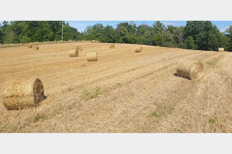 Sloma bale transport. - zdjęcie 3