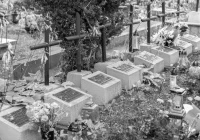 Spacer historyczny po limanowskich cmentarzach. Tematem II wojna światowa - zdjęcie główne