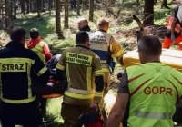85-latek ranny podczas prac leśnych - zdjęcie główne