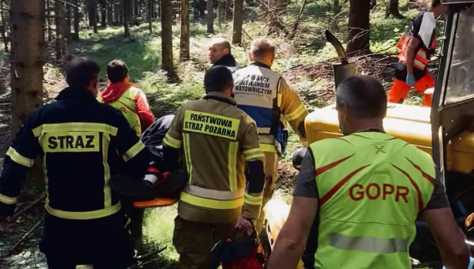 85-latek ranny podczas prac leśnych - zdjęcie 1