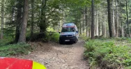 85-latek ranny podczas prac leśnych - zdjęcie 2