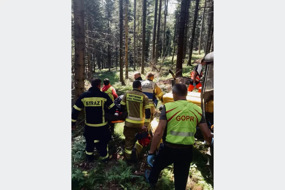 85-latek ranny podczas prac leśnych - zdjęcie 4