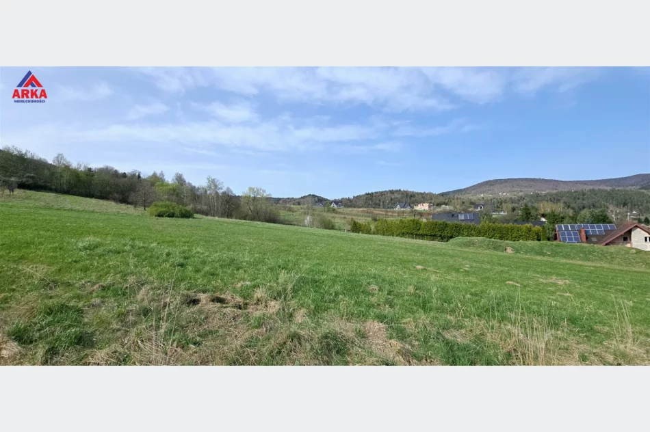 Kształtne działki budowlane pod lasem - zdjęcie 2