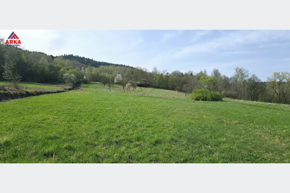Kształtne działki budowlane pod lasem - zdjęcie 3