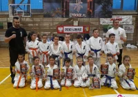 Gwarek Cup - limanowscy wojownicy wrócili z medalami - zdjęcie główne