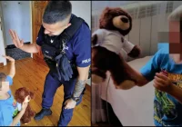 Pluszowe misie dla dzieci w rodzinach z „Niebieską Kartą” - zdjęcie główne