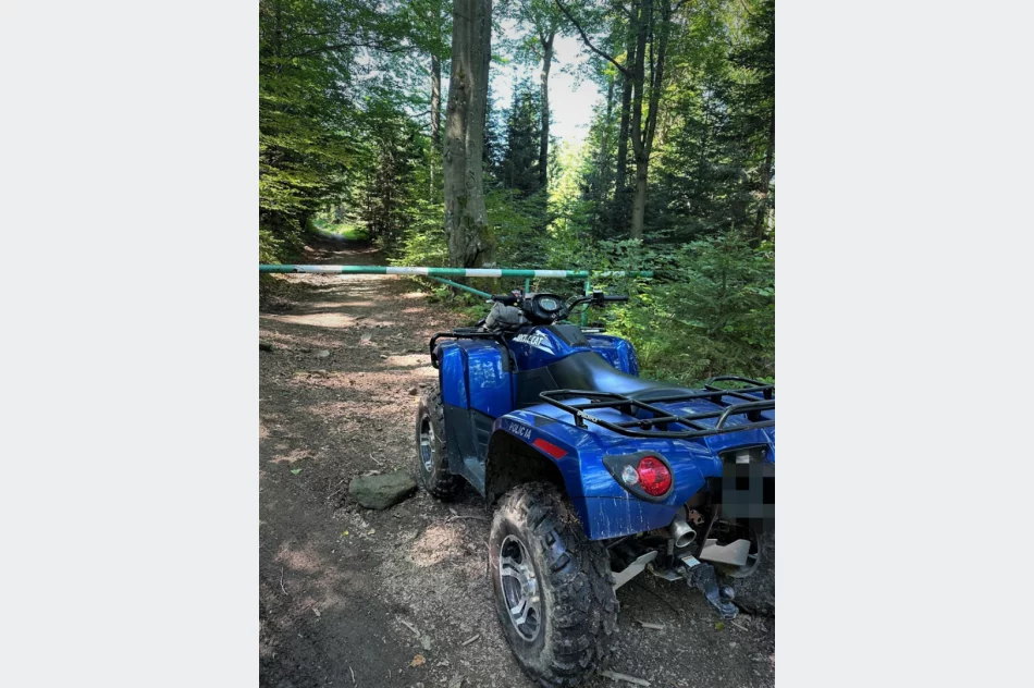 Wspólne patrole policji i strażników parku - zdjęcie 2