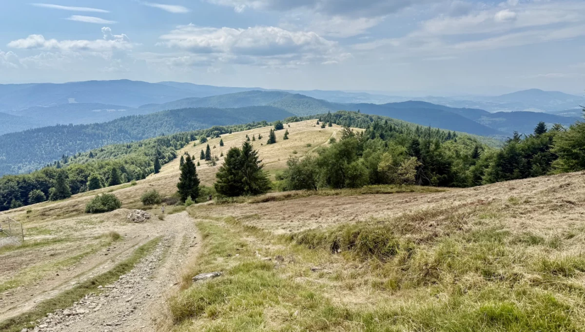Widok z Polany Stumorgowej na Mogielicy