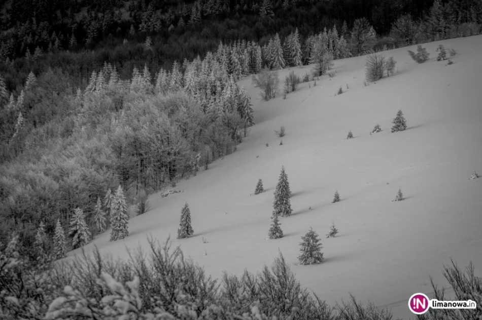 Mroźny poranek na Mogielicy - zdjęcie 9