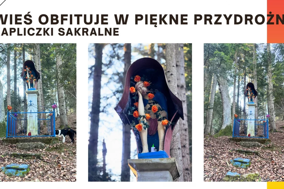 Pisarzowa wyróżniona w konkursie Najpiękniejsza Wieś Małopolski 2025 - zdjęcie 14