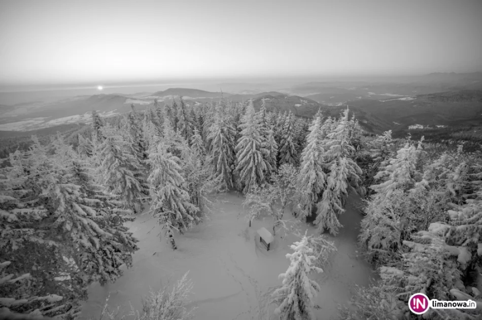 Mroźny poranek na Mogielicy - zdjęcie 16