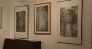 Prace Adama Pociechy podziwiać można w Miejskiej Galerii Sztuki - zdjęcie 4
