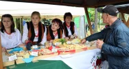 Występy, degustacje i atrakcje na “wyspowym” festiwalu - zdjęcie 5