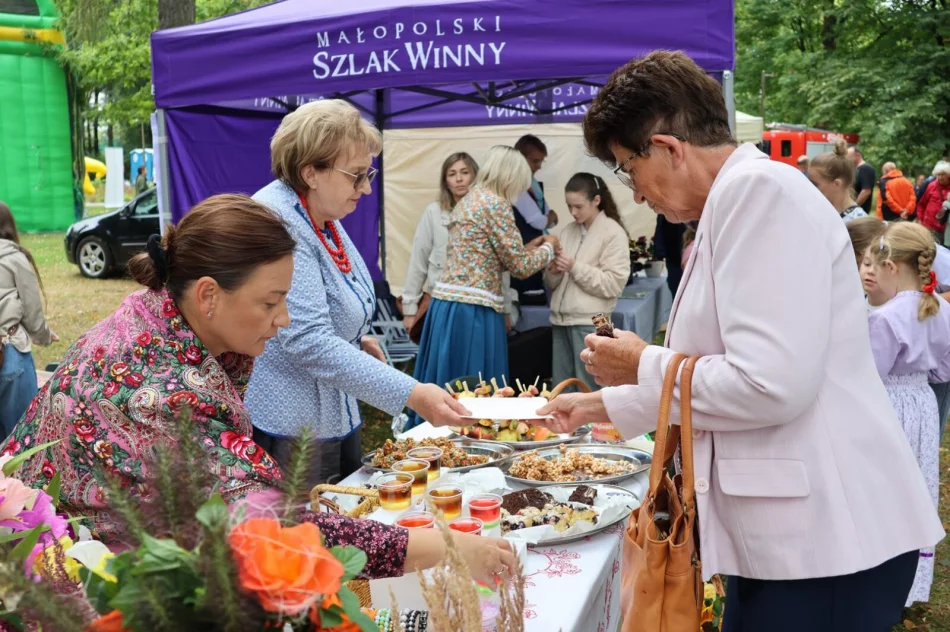 Występy, degustacje i atrakcje na “wyspowym” festiwalu - zdjęcie 8