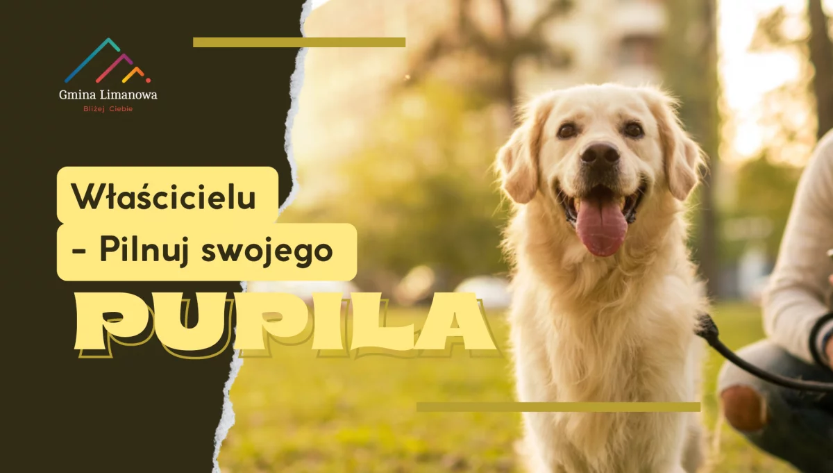 Właścicielu - pilnuj swojego pupila !