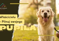 Właścicielu - pilnuj swojego pupila ! - zdjęcie główne