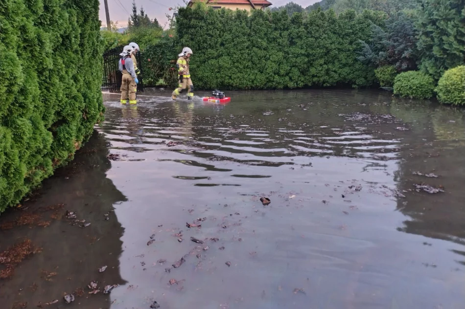 Silne opady deszczu – sześć interwencji strażaków - zdjęcie 3