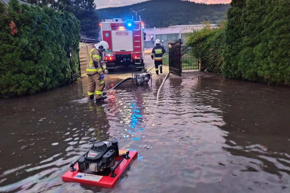 Silne opady deszczu – sześć interwencji strażaków - zdjęcie 4