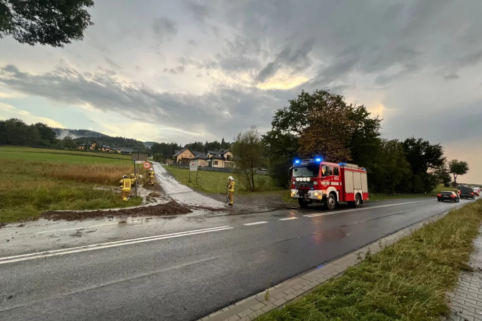 Silne opady deszczu – sześć interwencji strażaków - zdjęcie 7