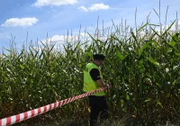 Szczątki obiektu latającego zaleziono pod Terespolem przy granicy z Białorusią - zdjęcie główne