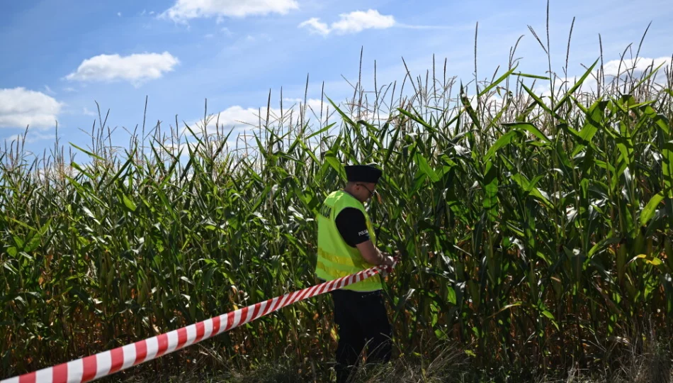 Szczątki obiektu latającego zaleziono pod Terespolem przy granicy z Białorusią - zdjęcie 1