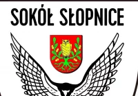 Sokół Słopnice: bliski zwycięstwa z liderem. Gol w doliczonym czasie gry. - zdjęcie główne