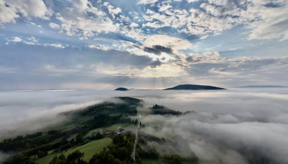 Ostrzeżenie przed gęstą mgłą i szadzią - zdjęcie 1