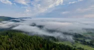 Synoptyk IMGW: w nocy silne zamglenia i ograniczenia widoczności do 200 m - zdjęcie 3