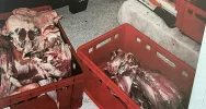 Udana prowokacja: wpadł z nielegalnym mięsem halal - zdjęcie 4